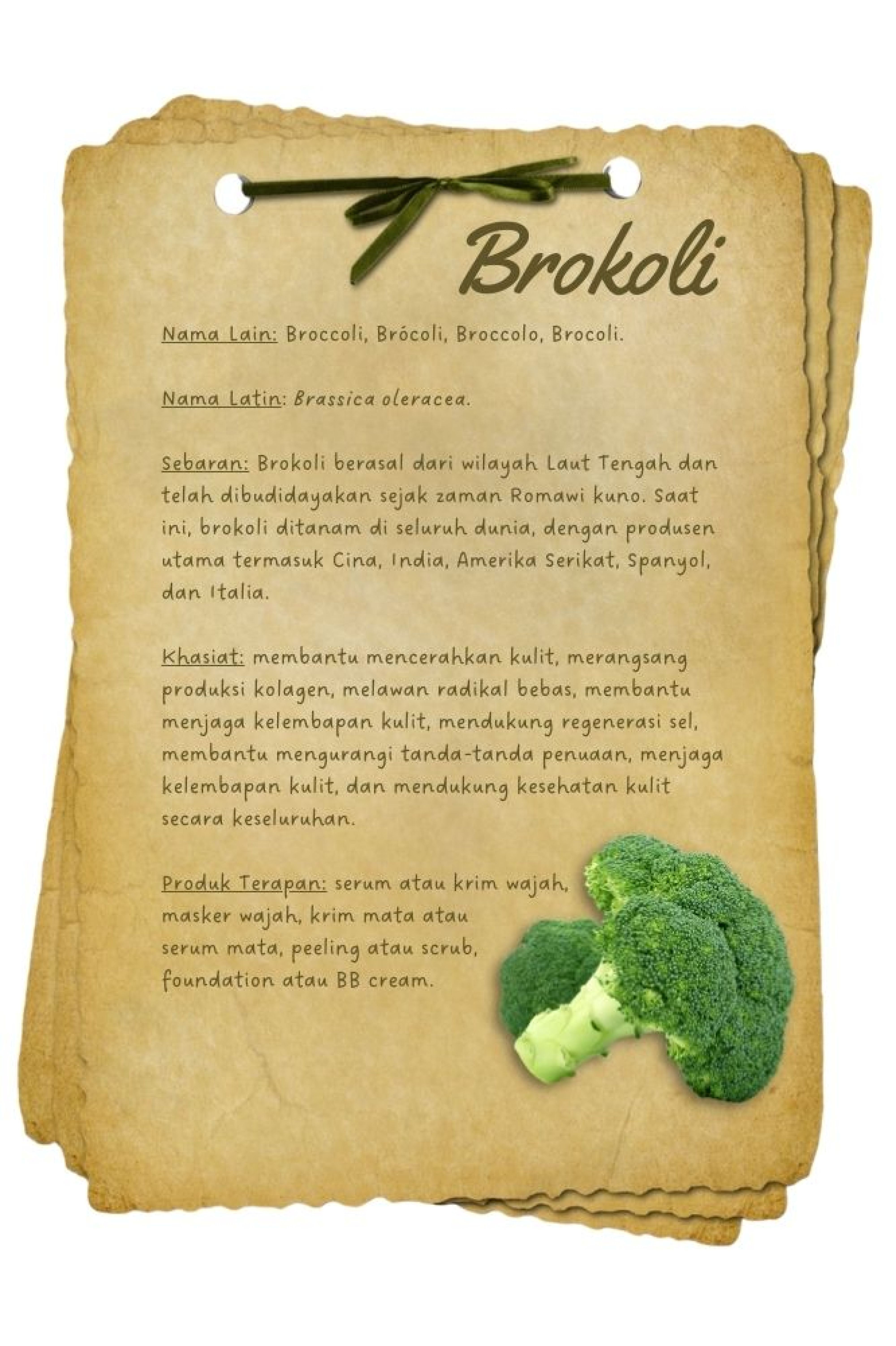 BAHAN AKTIF brokoli - Beautyversity.jpg